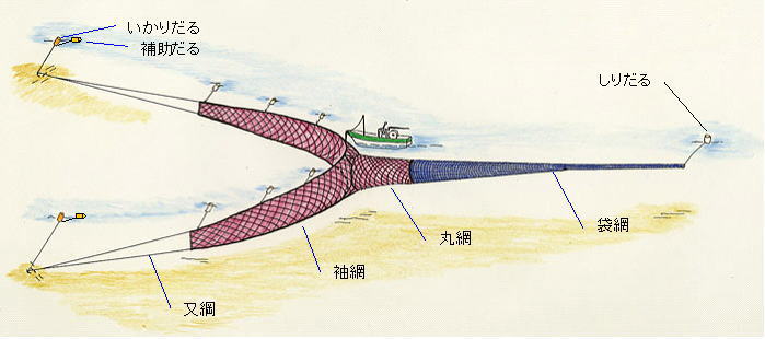 刺し網 漁網 エビ網 網 漁具 釣具 漁業 インテリア 居酒屋 鳥害 ええ ネット